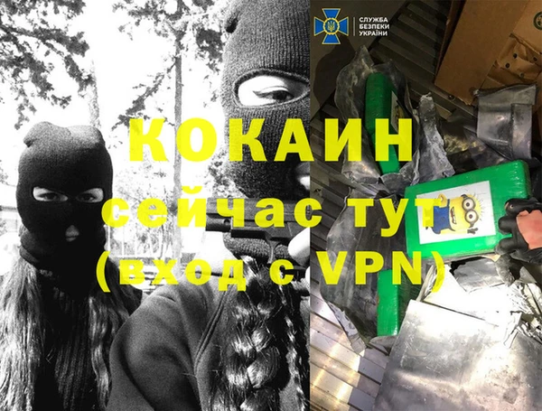 дживик Алексин