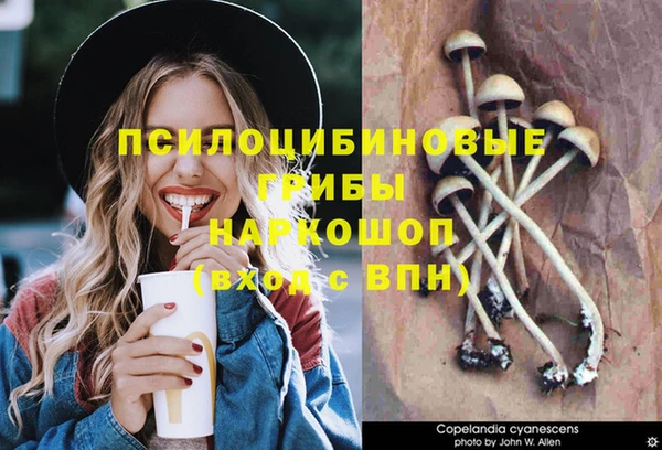 дмт Алзамай