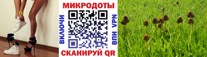 Псилоцибиновые грибы Magic Shrooms  купить  цена  Урай 